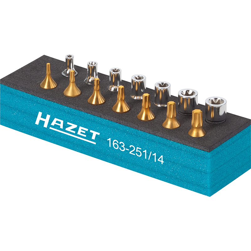Hazet 163-251/14 TORX® Tool Set, 14 Pieces – Haus of Tools
