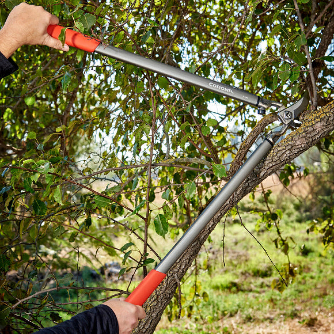 Corona-SL15167 · ClassicCUT® Bypass Lopper - 31 Inch
