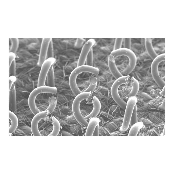 3M Hookit Roloc Disc Pad Type J 82564, 1 in