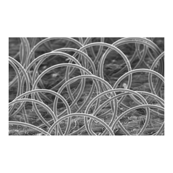 3M Hookit Red Finishing Film Abrasive Disc 260L, 01186, 6 in, P1000