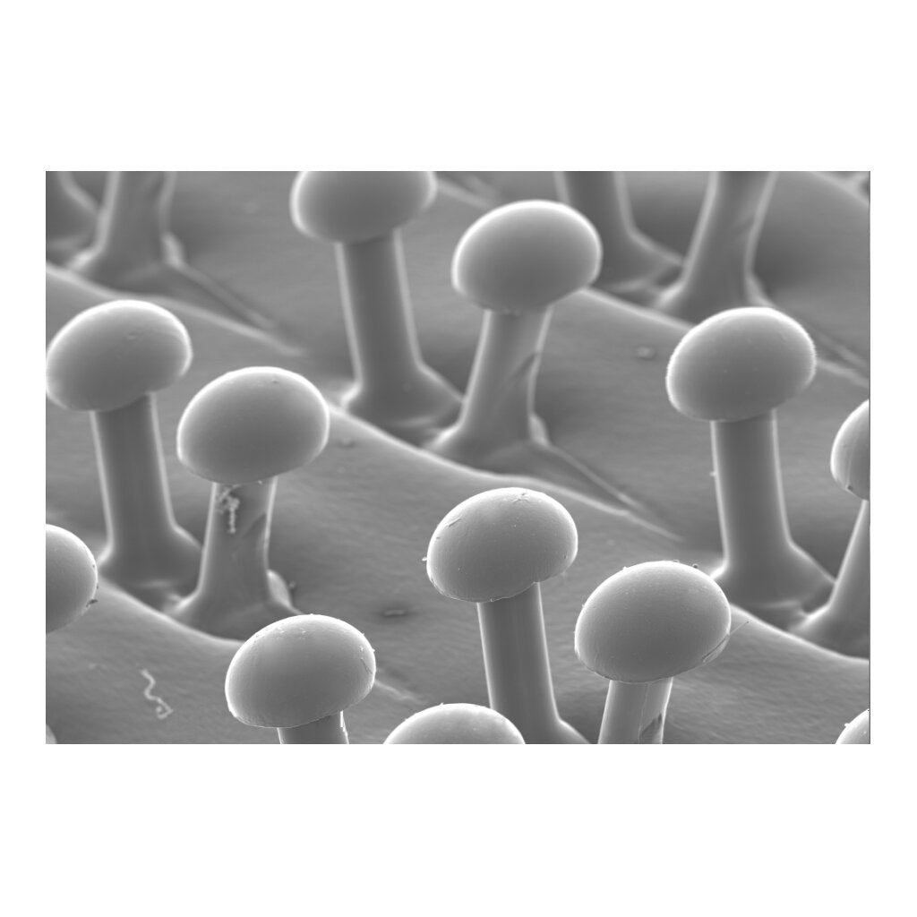 3M Disc Pad Holder 918, 8 in x 5/16 in x 3/8 in x 5/8 in-11 Internal