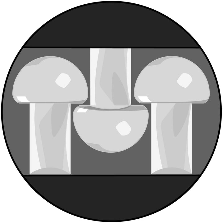 3M Dual Lock Reclosable Fastener SJ3441, Black, 6 in x 50 yd, Type400