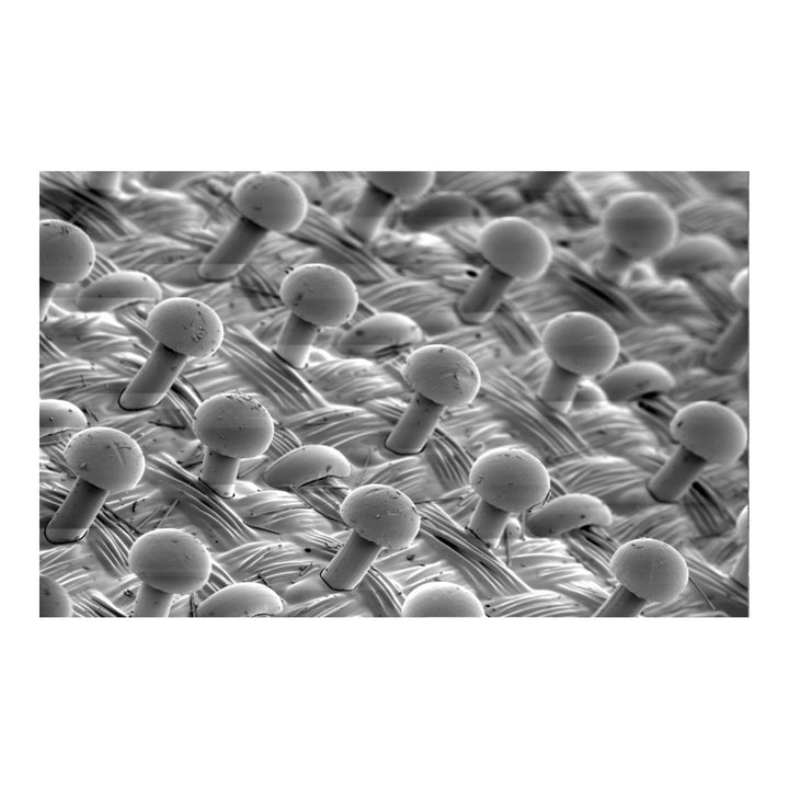 3M Clean Sanding Interface Pad 28324, 3 in x 4 in x 1/2 in 33 Holes