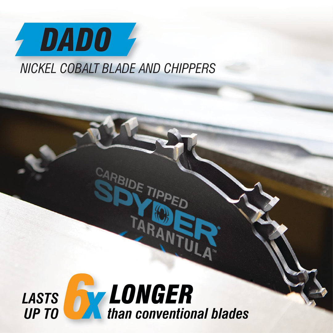 Spyder 13023 Ultra Fine 6-in 12 -Tooth Fine Finish Tungsten carbide-tipped steel Dado Miter/Table saw blade Individual