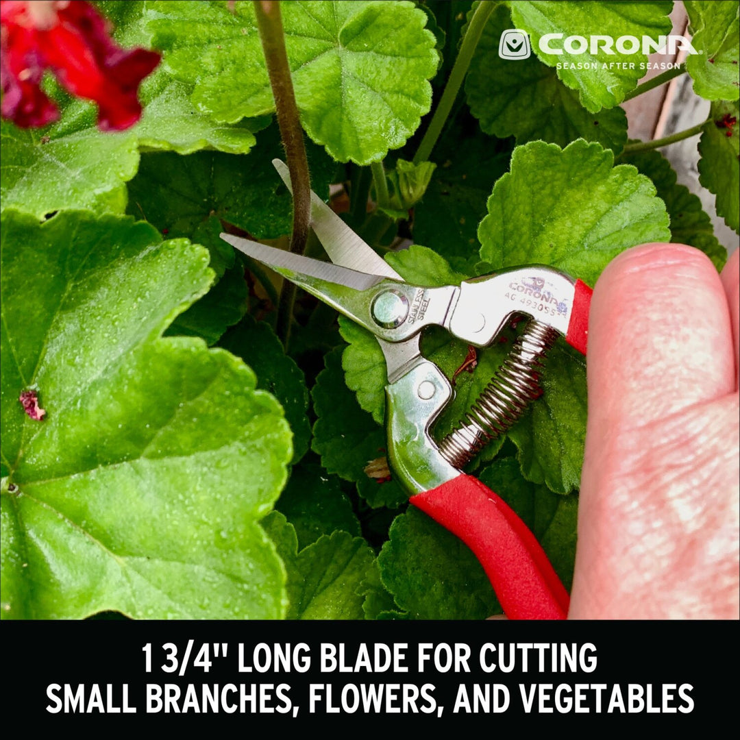 CORONA-AG 4930SS · Long Straight Snips - Stainless Steel, 1¾ Inch
