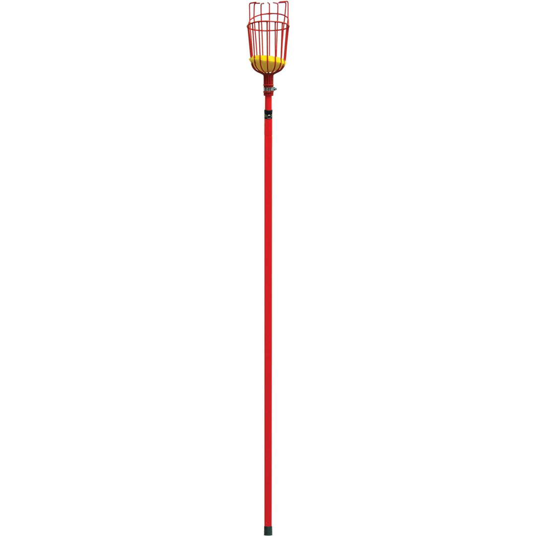 Corona FP 2312 Extendable Fruit Picker, 12 ft.