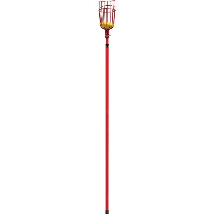 Corona FP 2312 Extendable Fruit Picker, 12 ft.