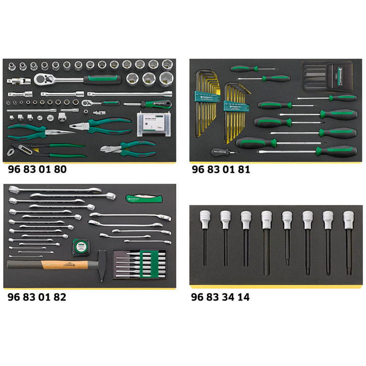 Stahlwille 97830607 2502 TCS Workshop set for BMW motorbikes