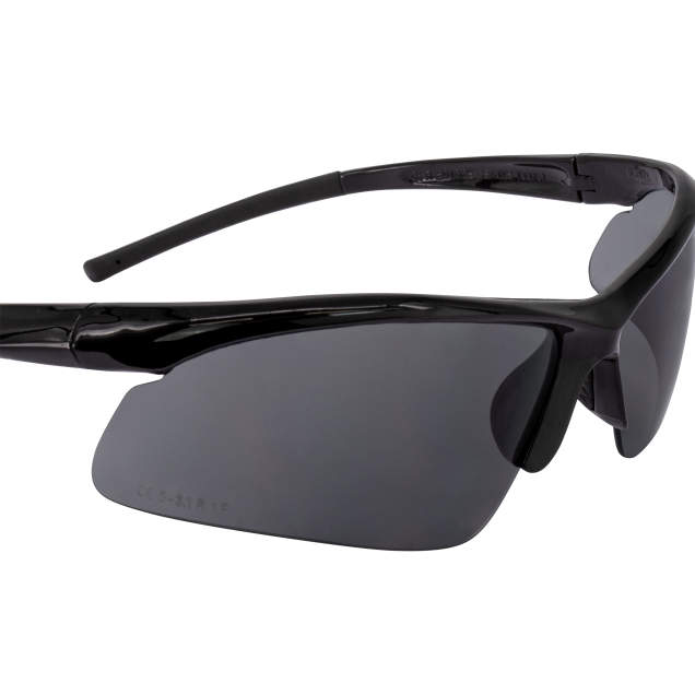 DeWalt DPG51 Radius Protective Eyewear