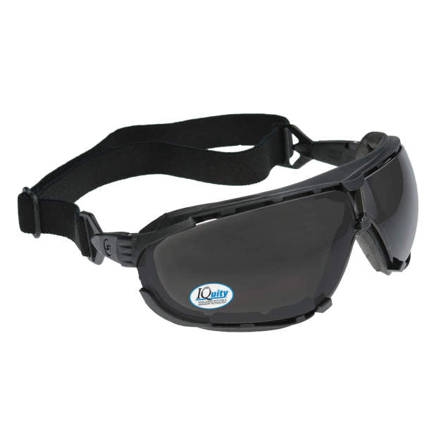 Radians Dagger IQ - IQuity Anti-Fog Foam Lined Safety Goggle - Black Frame