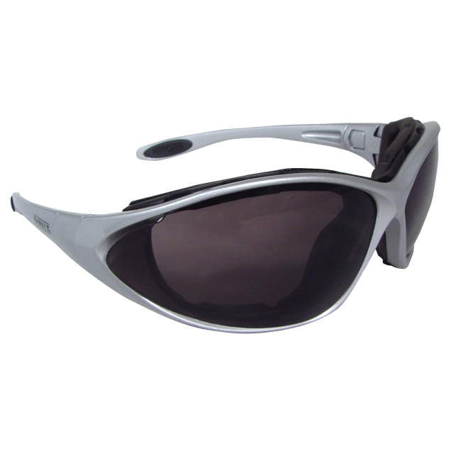 DEWALT DPG95 Framework Protective Eyewear- Silver Frame