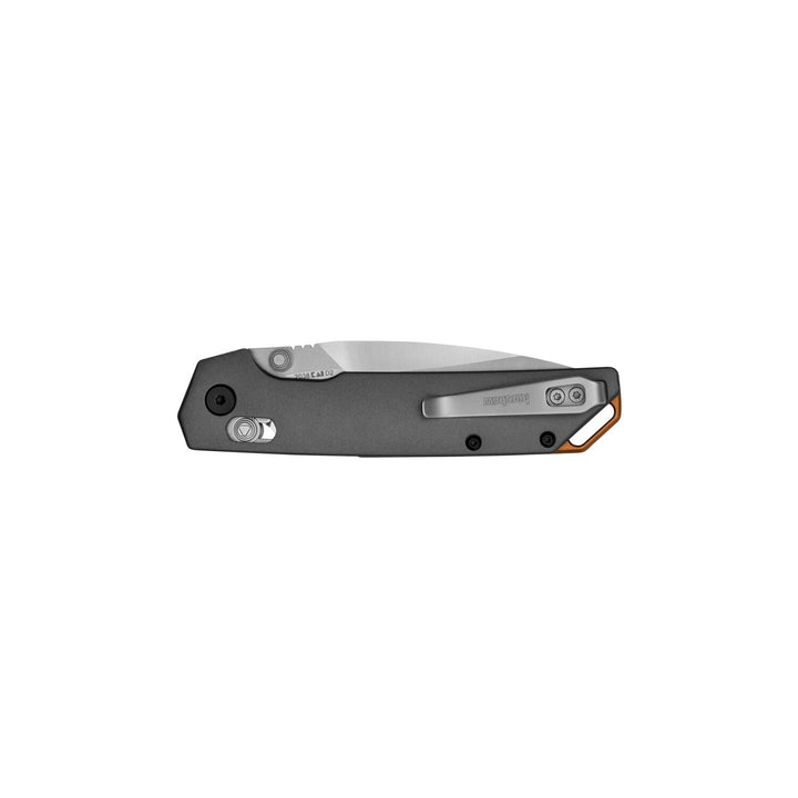 Kershaw 2038 Iridium