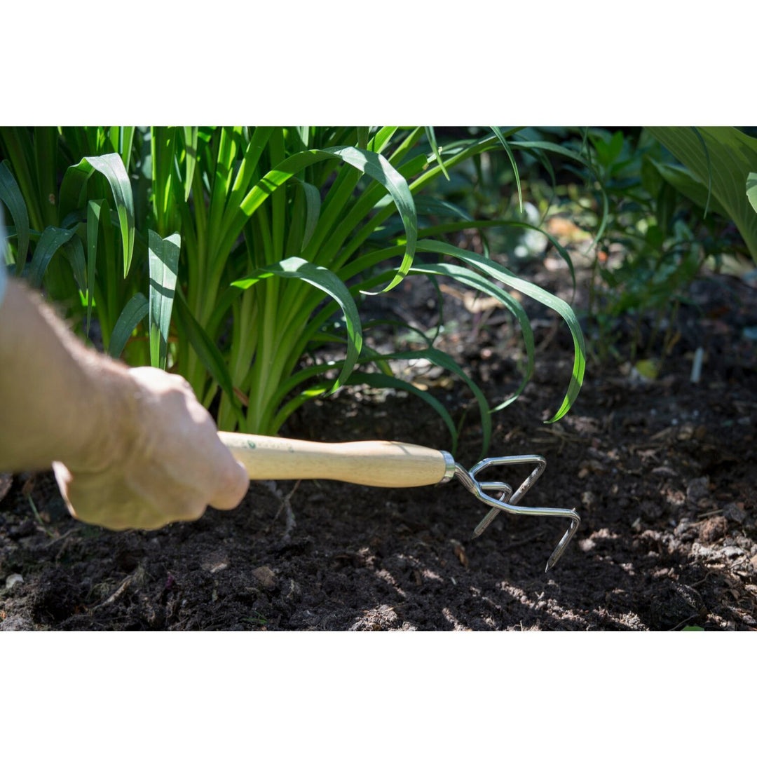 Corona GTH/SCCMHRHS Mid-Handled Stainless Steel Claw Cultivator, Wood Grip, RHS Endorsed