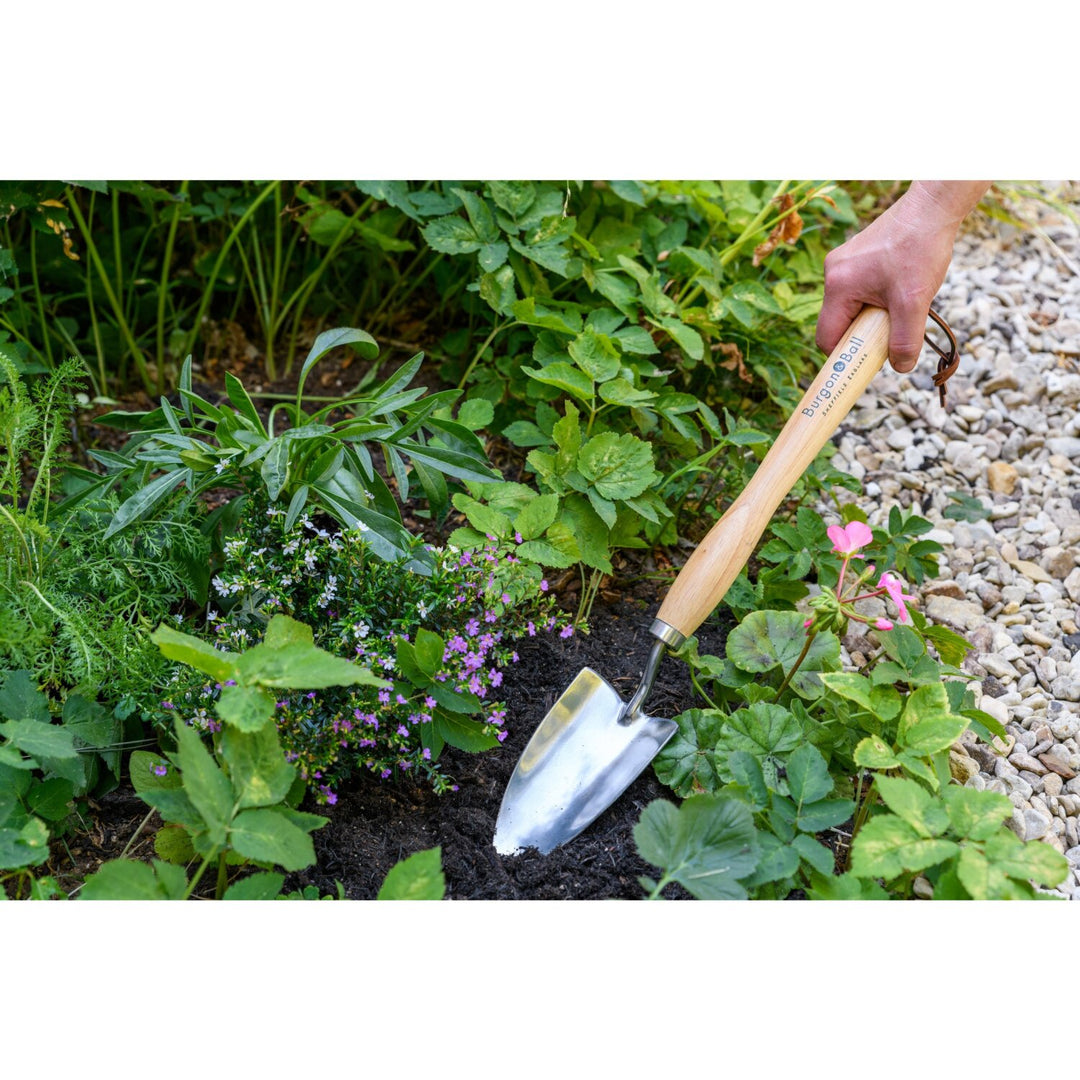 Corona GTH/SHTMHRHS Mid-Handled Stainless Steel Trowel, Wood Grip, RHS Endorsed