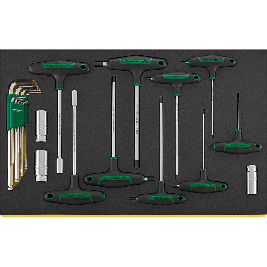 Stahlwille 97830606 2501N TCS Workshop set for BMW motorbikes