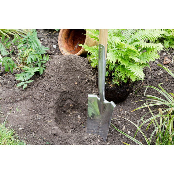 Corona GTB/TPSRHS RHS® Stainless FSC Wood Transplanting Spade
