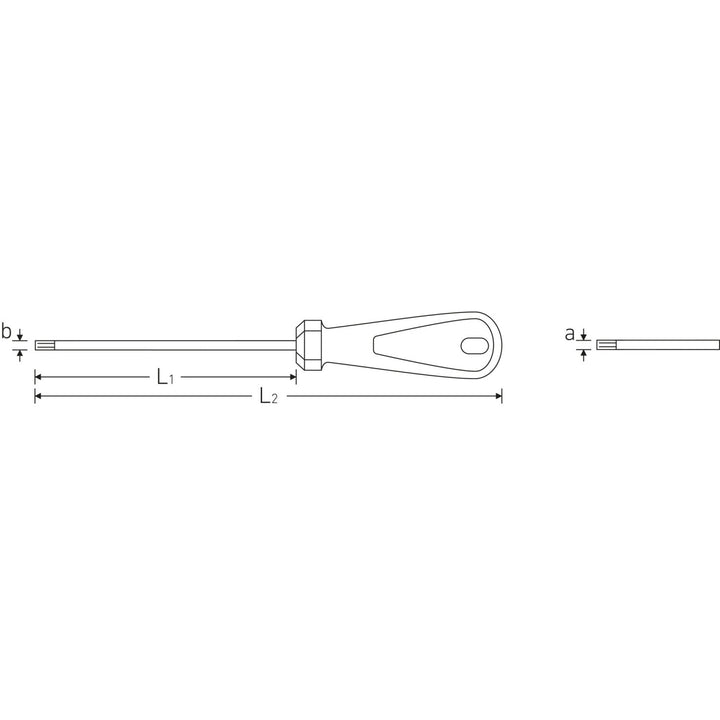 Stahlwille 48560025 4856 3K DRALL T25s x 100mm Security TORX® Screwdriver