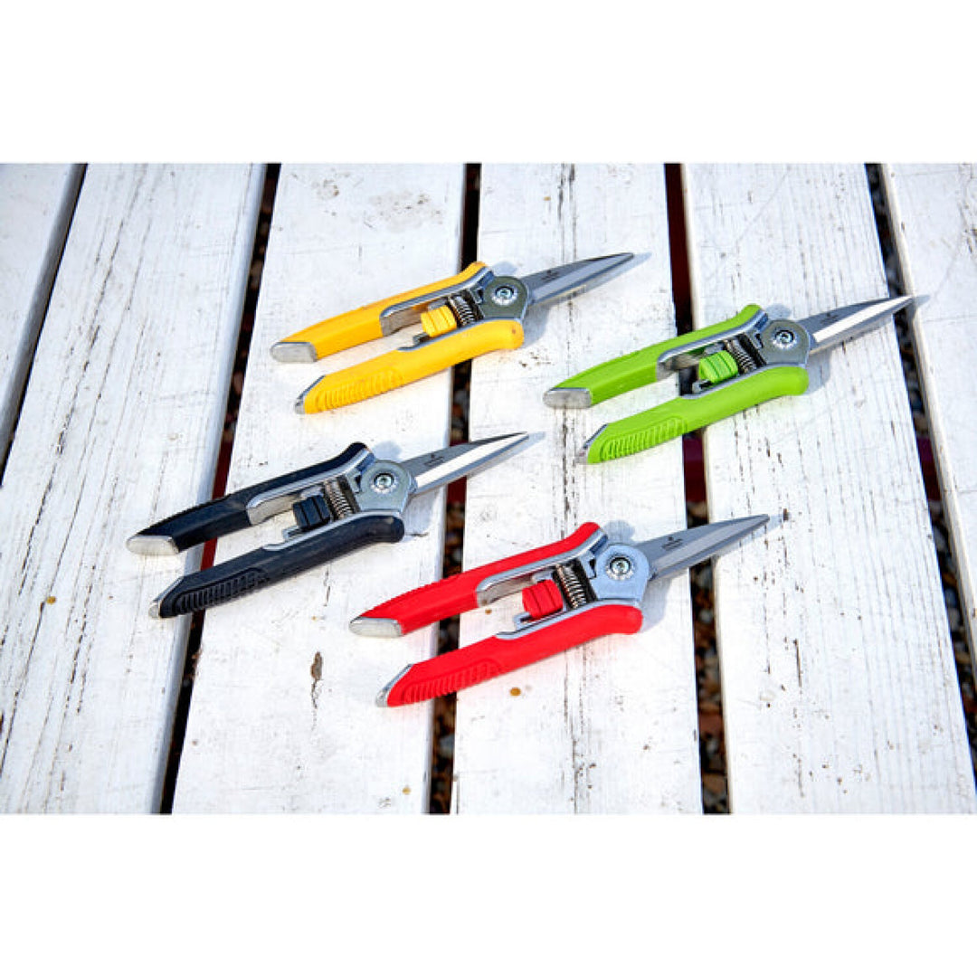 CRNA-FS43624 · Mini Floral Snips