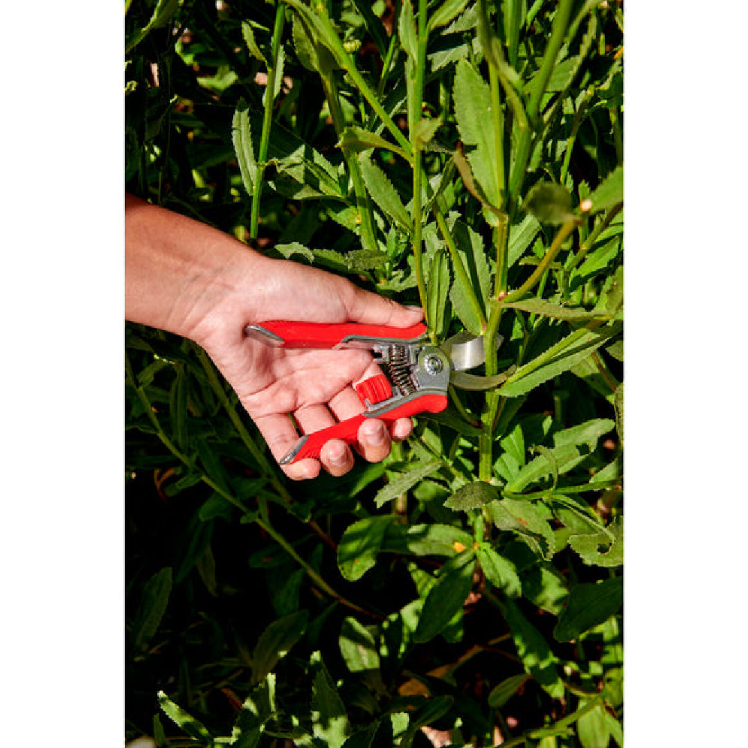 CRNA-BP13624 · Mini House Plant Pruner