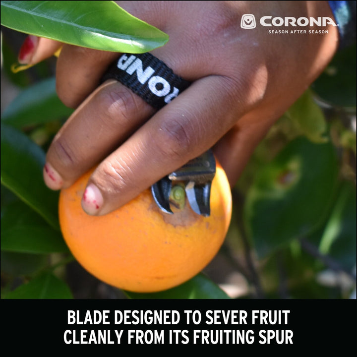Corona AG 5060 Orange and Apple Bypass Shears