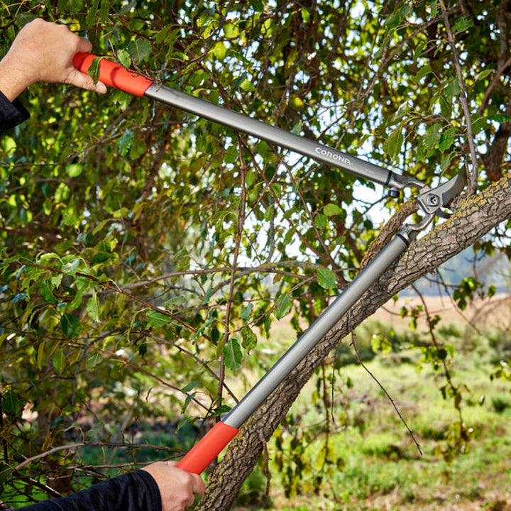 Corona-SL15167 · ClassicCUT® Bypass Lopper - 31 Inch
