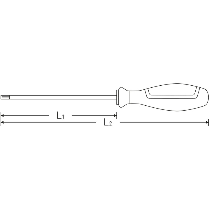 Stahlwille 46503020 4650 DRALL+ T20 x 100mm TORX® Screwdriver