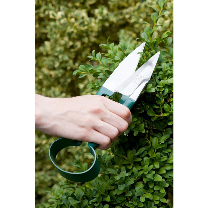 Corona GTS/CGGA Topiary Trimming Shears, RHS Endorsed