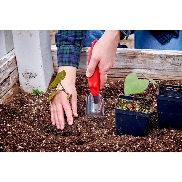 Corona CT 3020i Transplanter