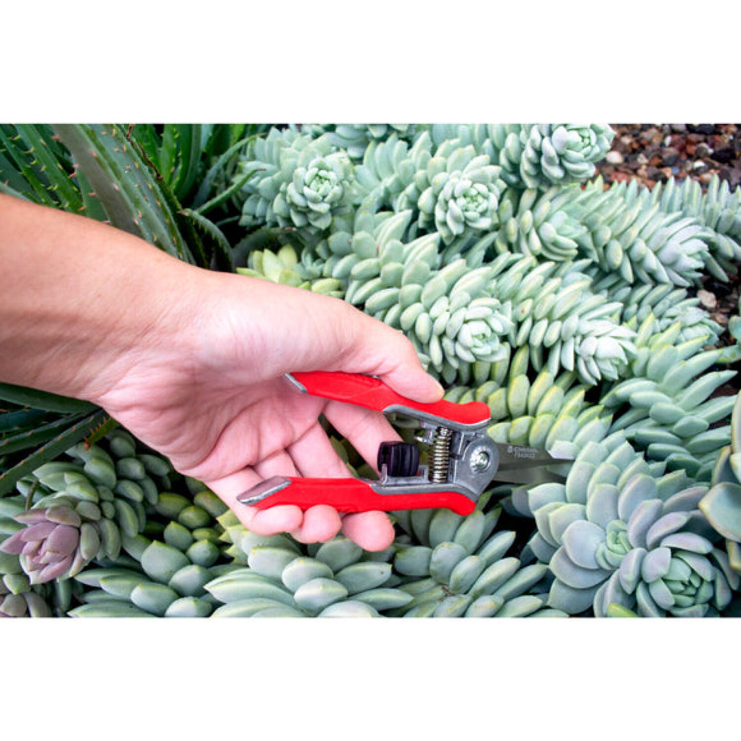 Corona FS43623  Mini Floral Snips - RED Only