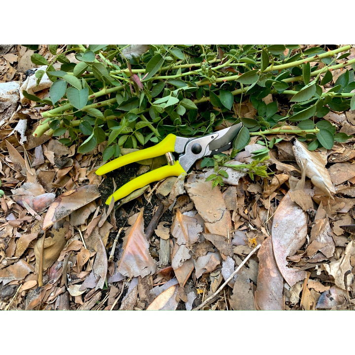 Corona GFB/BSYELL Florabrite Bypass Pruner, Neon Yellow, 1 in. Cut Capacity, RHS Endorsed