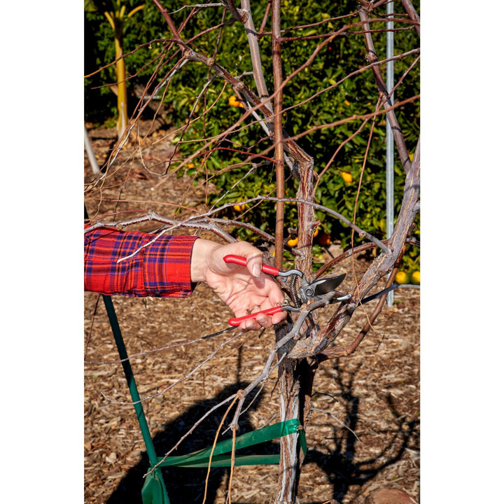 CORONA-BP 3130 · ClassicCUT Bypass Pruner - 1/2 Inch