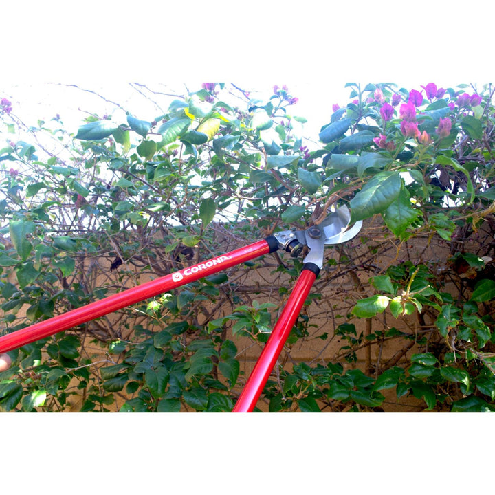 Corona SL 3310 Bypass Lopper, 25 in., 1-1/2 in. Cut Capacity