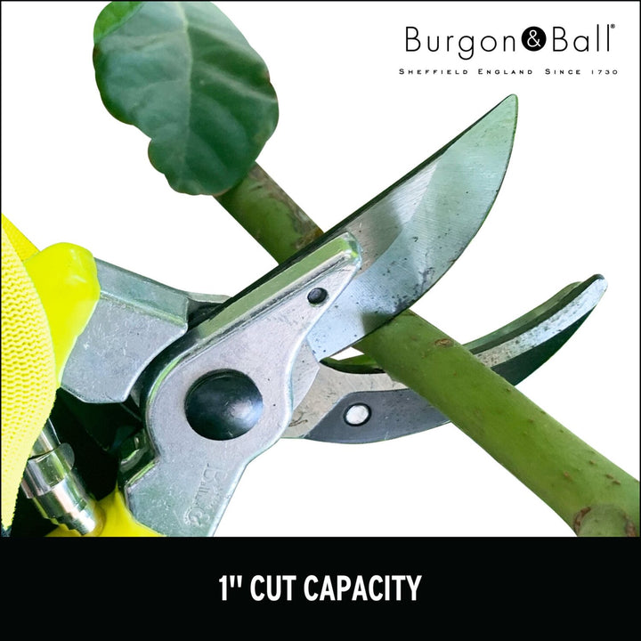 Corona GFB/BSYELL Florabrite Bypass Pruner, Neon Yellow, 1 in. Cut Capacity, RHS Endorsed