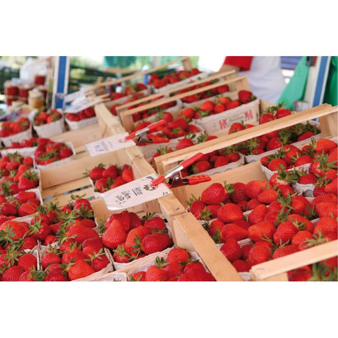 Bessey XM10 Clamp, spring clamp, metal, 5 In. x 4 Inch