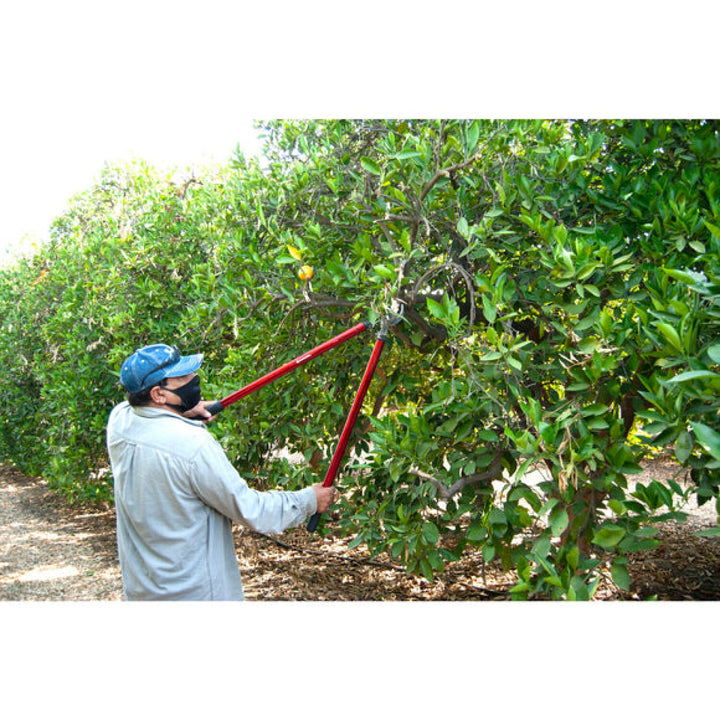 Corona AL15149  ClassicCUT® Bypass Lopper - 36 Inch