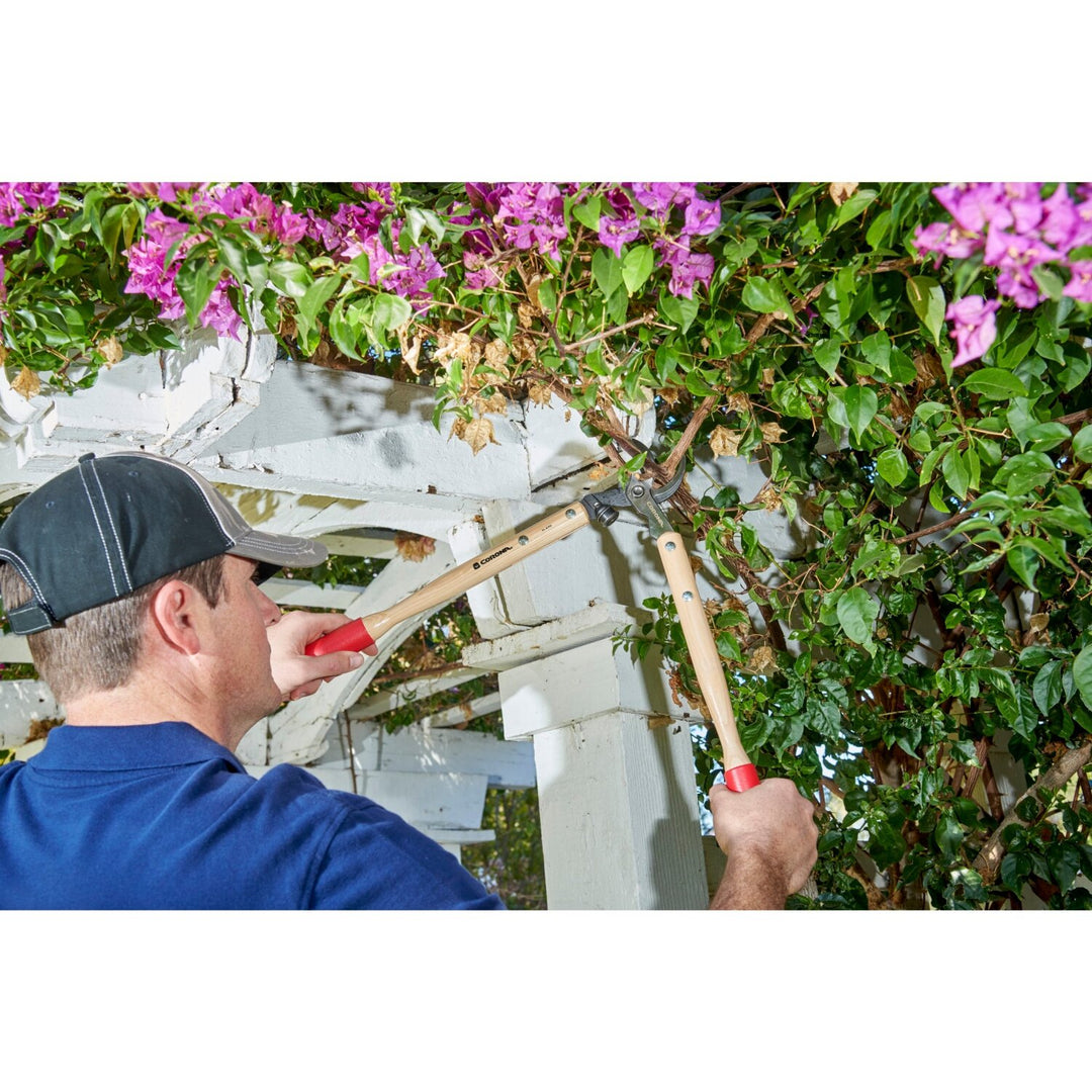Corona WL 6310 Hickory Handle ClassicCUT Bypass Vine Lopper, 20 in., 1-1/4 in. Cut Capacity
