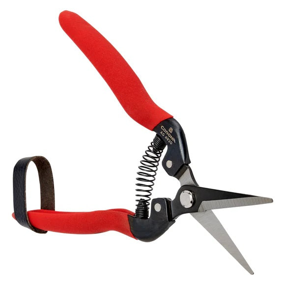 Corona AG 4930 Snip - Thumbnail 5