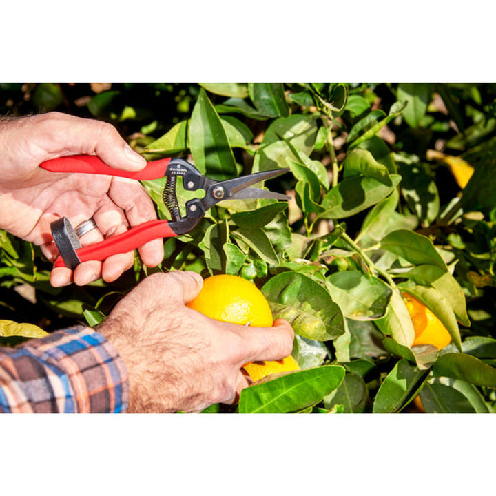 Corona AG 4940  Long Curved Snips - Tempered Steel, 1¾ Inch