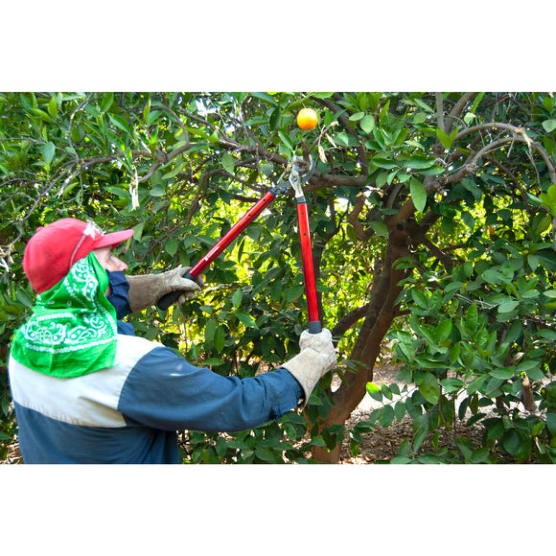 Corona AL15147  ClassicCUT® Bypass Lopper - 26 Inch
