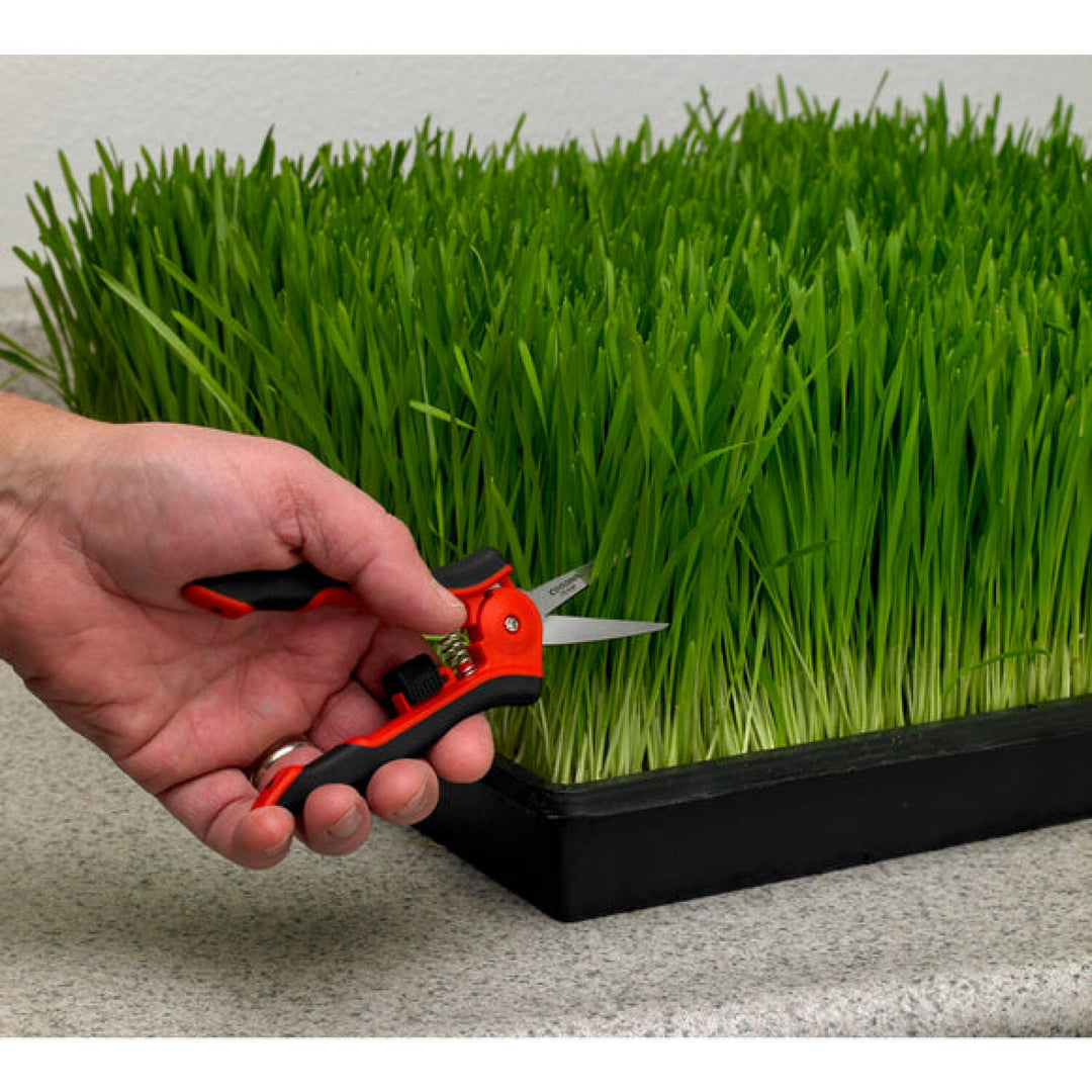 Corona-FS 4120 · Hydroponic Micro Snips