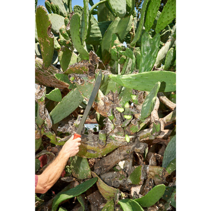 Corona MA 60061  Machete - 18 Inch