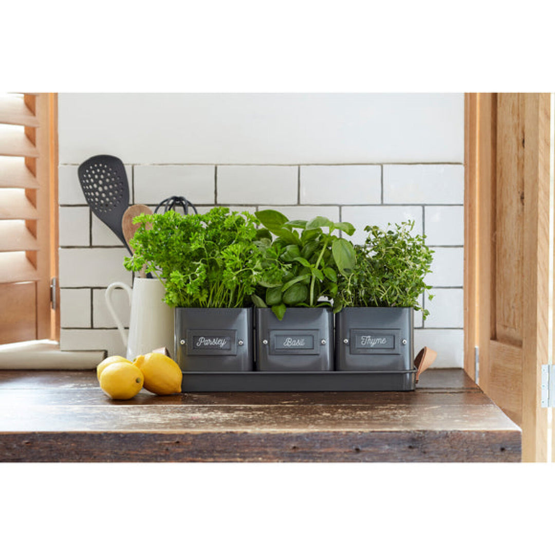 CORONA-GEN/HERBCHARCOA · Burgon & Ball® Herb Pots Leather Handled Tray-Charcoal