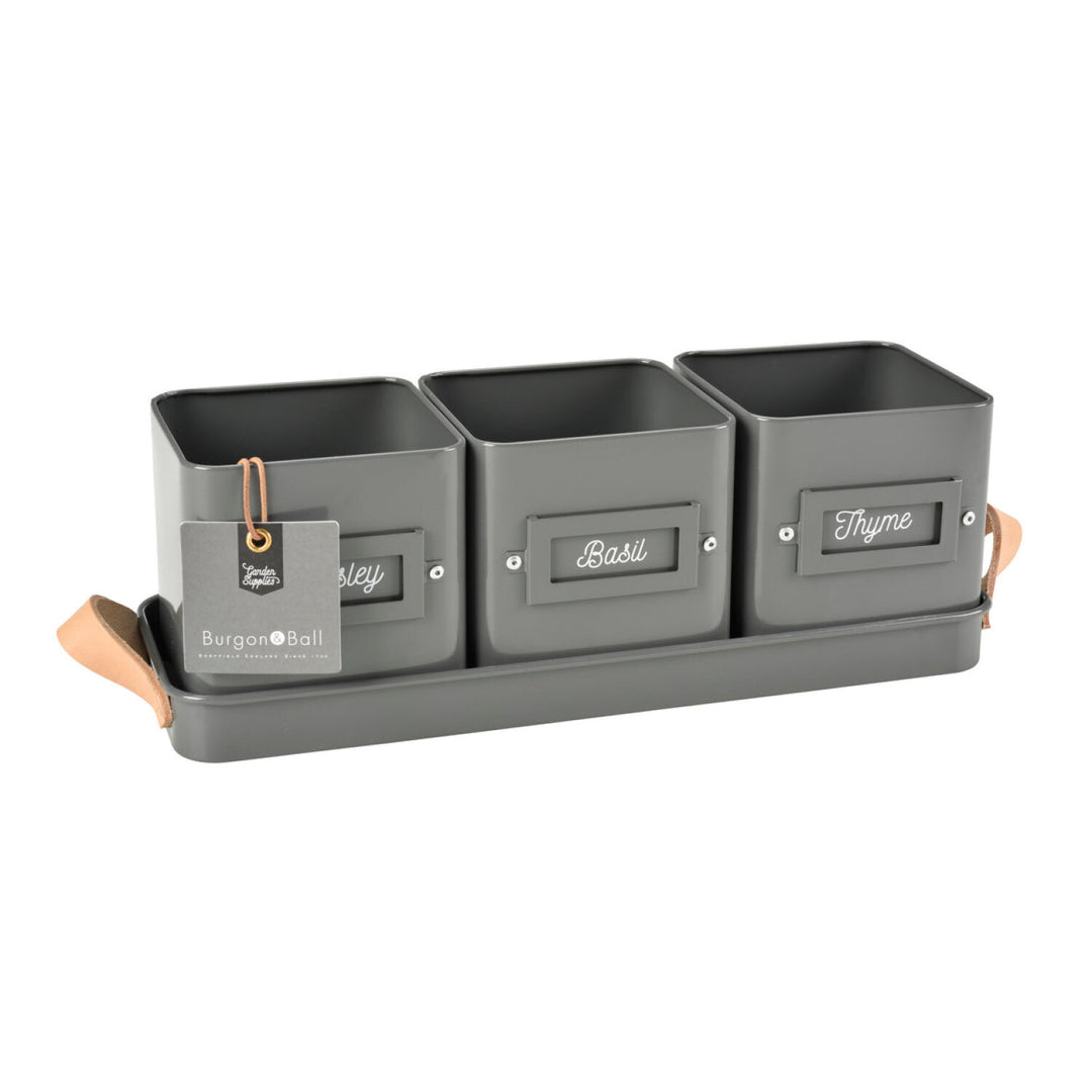 CORONA-GEN/HERBCHARCOA · Burgon & Ball® Herb Pots Leather Handled Tray-Charcoal