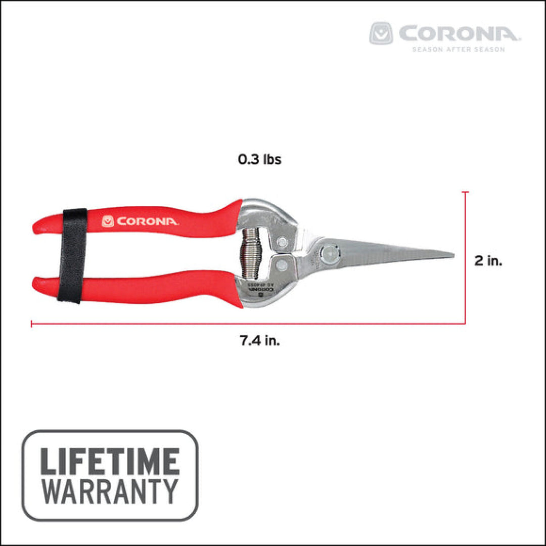Corona AG 4940SS  Long Curved Snips - Stainless Steel, 1¾ Inch