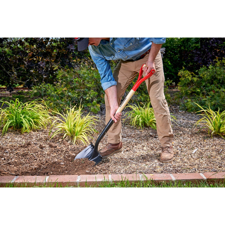 Corona SS16101 Boron Steel 14-Gauge Round Point Shovel, D Grip Hardwood Handle