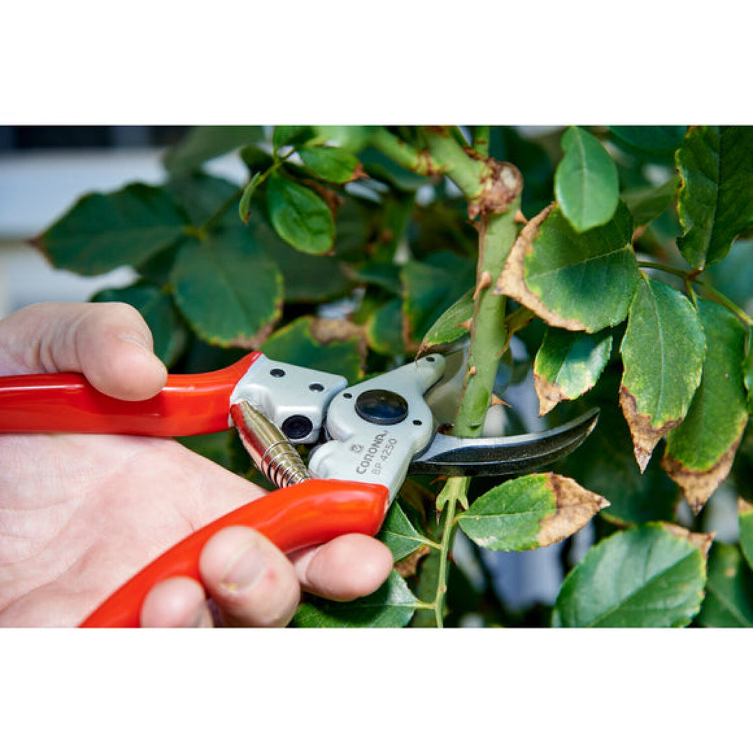 Corona BP 4250  ALUMINUM Bypass Pruner - 1 Inch, Straight