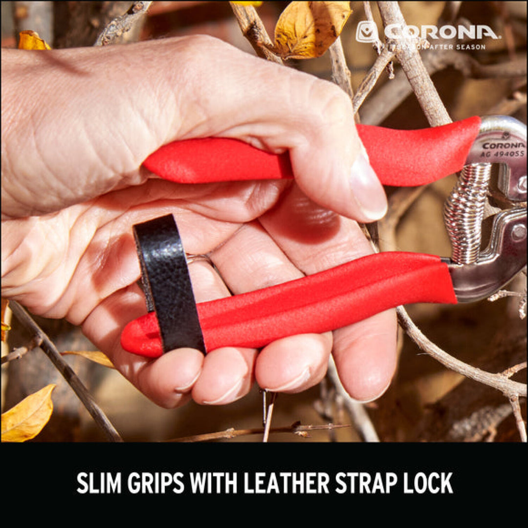 Corona AG 4940SS  Long Curved Snips - Stainless Steel, 1¾ Inch