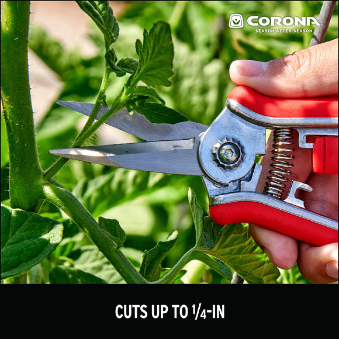 CRNA-FS43624 · Mini Floral Snips