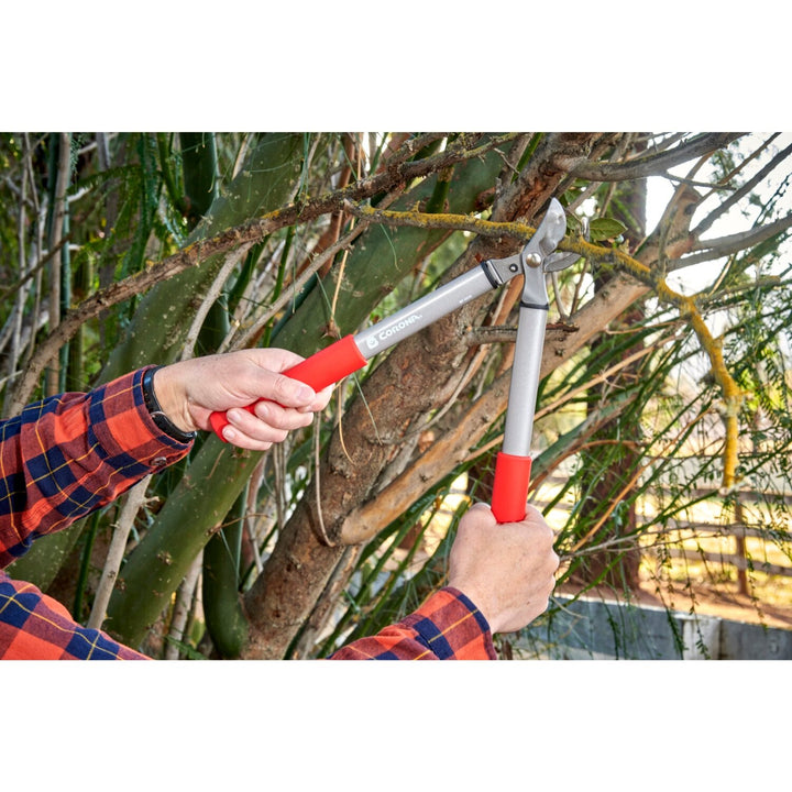 Corona BP 3225D Classiccut Two-Handed Pruner - 3/4 Inch
