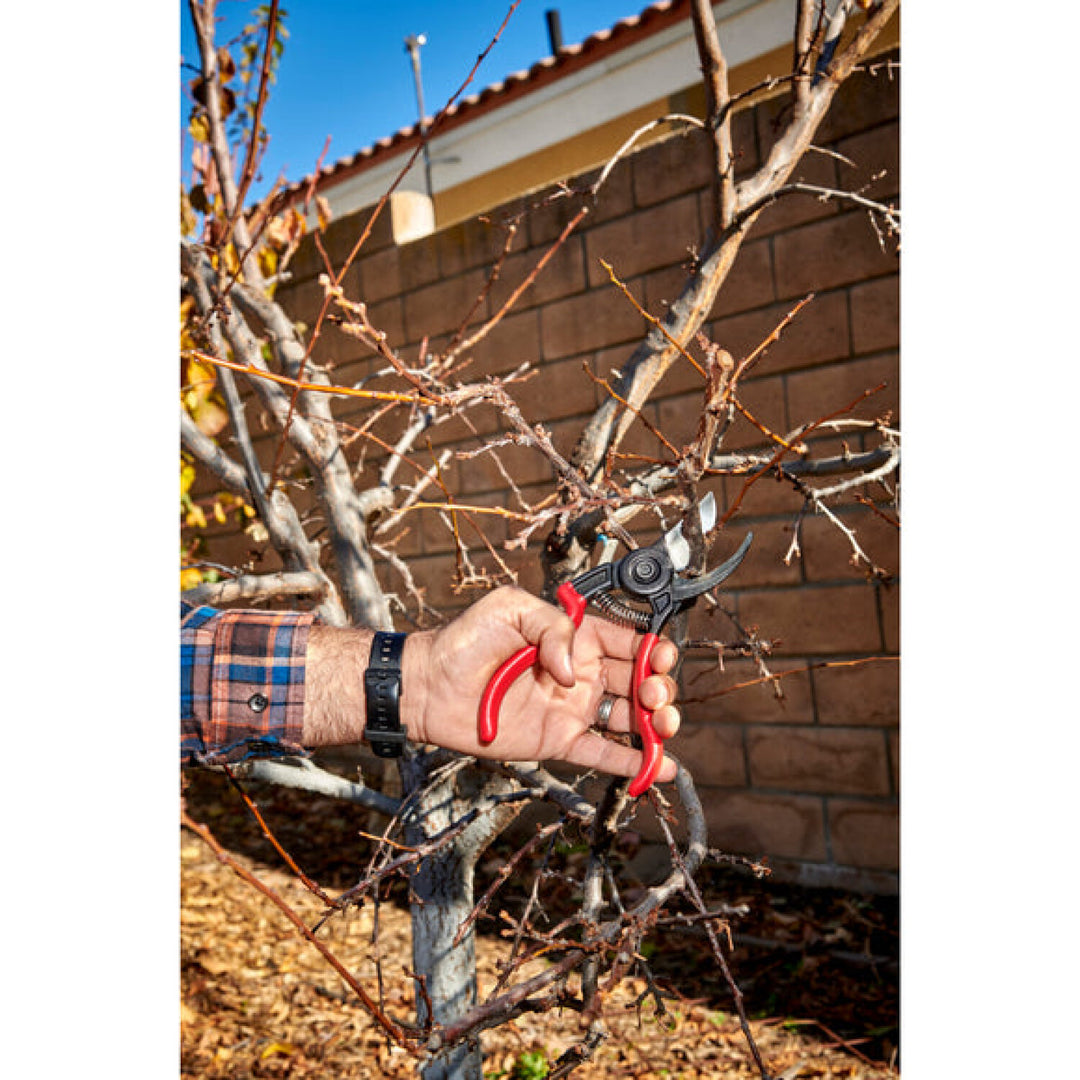 Corona-BP 3640 · ErgoACTION Bypass Pruner - 3/4 Inch